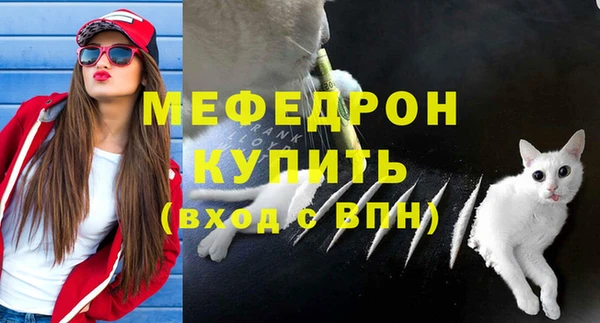 мяу мяу мука Кинешма